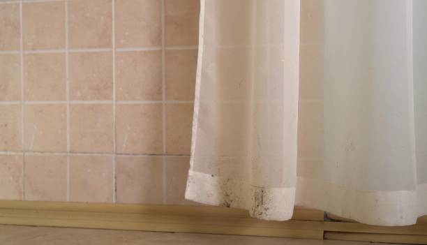 Best Real Estate Mold Inspection  in Bedford, IN