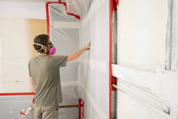 Best Mold Documentation for Insurance Claims  in Bedford, IN