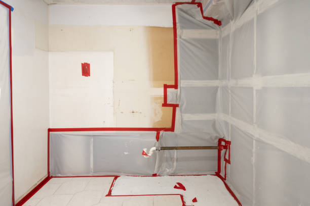 Best Mold Remediation for Healthcare Facilities  in Bedford, IN