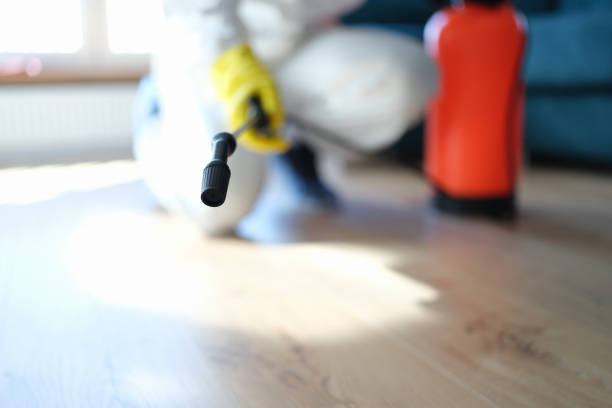 Best Attic Mold Removal  in Bedford, IN