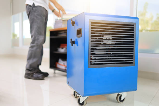 Best Black Mold Removal  in Bedford, IN